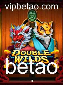 DoubleWilds: A Nova Aposta no Mundo dos Jogos